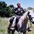 Susan Assael's profile image
