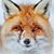 Greg Patterson's profile image