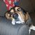 Bender Shinney's profile image