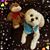 Marcy Lazzari's profile image