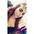 Thaenelly Pichardo's profile image