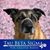 Denise Aspell's profile image