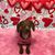 Becca Amstutz's profile image