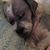 Patsy Lee Powell's profile image