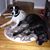 Karen Uzzi's profile image