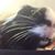 Heather Boersma's profile image