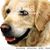 Anne Collins Robinson's profile image