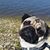 Marlee Dablemont's profile image