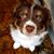 Tricia B's profile image