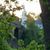 Christa Ayers-Speigner's profile image