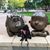 JoAnne Kender's profile image