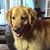 Sheri Conrad's profile image