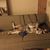 Dorothy Christenson's profile image