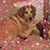 Michele V Kost's profile image
