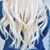 Brittany Schaaf's profile image