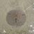 Mitzi Rogers's profile image