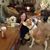 Laura Anne's profile image