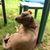 Mildred Crawford's profile image