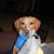 Robin Carter's profile image