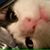 Moomoo Meeks's profile image