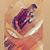 Amanda Lee Langendorf's profile image