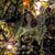 Kate Oceanwaverolling's profile image