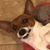 Pam Smith Buck's profile image