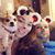 Christy Cavigliano's profile image