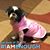 Faye Eckert's profile image