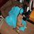Annette Brown's profile image