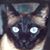 Beth Wheeler-Christbaum's profile image