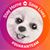 Sandy Loomis Gunn's profile image