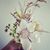 Melissa Van Den Brouck's profile image