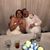 Janet Scott's profile image