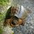 Kimberly Hamel's profile image