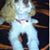 Ina Eichorst's profile image