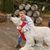 Tim Schiel Sr.'s profile image