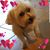 Judy Carlson's profile image