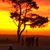 Mary Gustafson-Millager's profile image