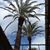 Claudia White Creson's profile image