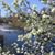 Maggie Bishop's profile image