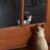 Susan Taylor's profile image