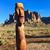 Ray Kieffer Tiki Ray's profile image