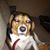 Bill Read's profile image