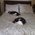 Jenny Knoke's profile image