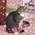 Dora Anderson's profile image