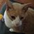 Michelle Hauke-Klosterman's profile image
