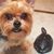 Stefany Malluzzo-Tudela's profile image