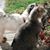 Bette Dee's profile image