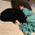 Jess Crawford McGuire's profile image